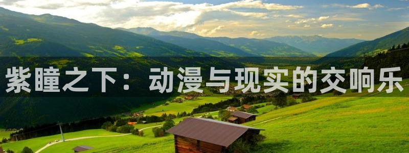 o站(omofun)官网：紫瞳之下：动漫与现实的交响乐