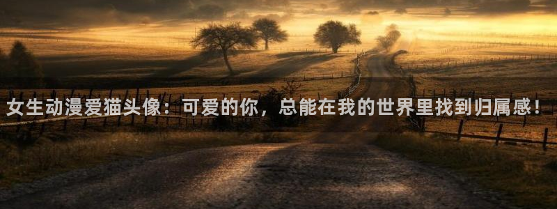 omofun缓存：女生动漫爱猫头像：可爱的你，总能在我的世界里找到归属感！