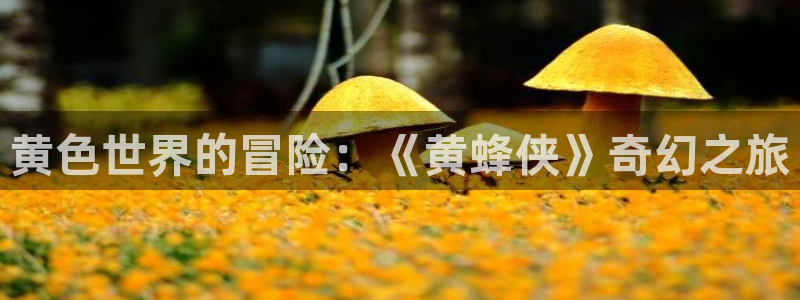 omofun动漫旧版本：黄色世界的冒险：《黄蜂侠》奇幻之旅