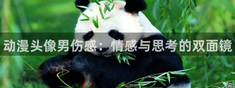 omofun传送门入口：动漫头像男伤感：情感与思考的双面镜