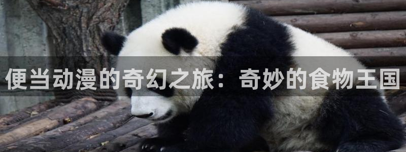 omofun全新：便当动漫的奇幻之旅：奇妙的食物王国
