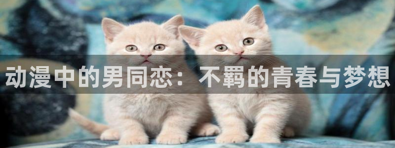 omofun官网网站：动漫中的男同恋：不羁的青春与梦想