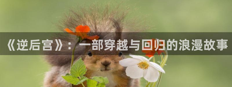 omofun电脑网页版：《逆后宫》：一部穿越与回归的浪漫故事
